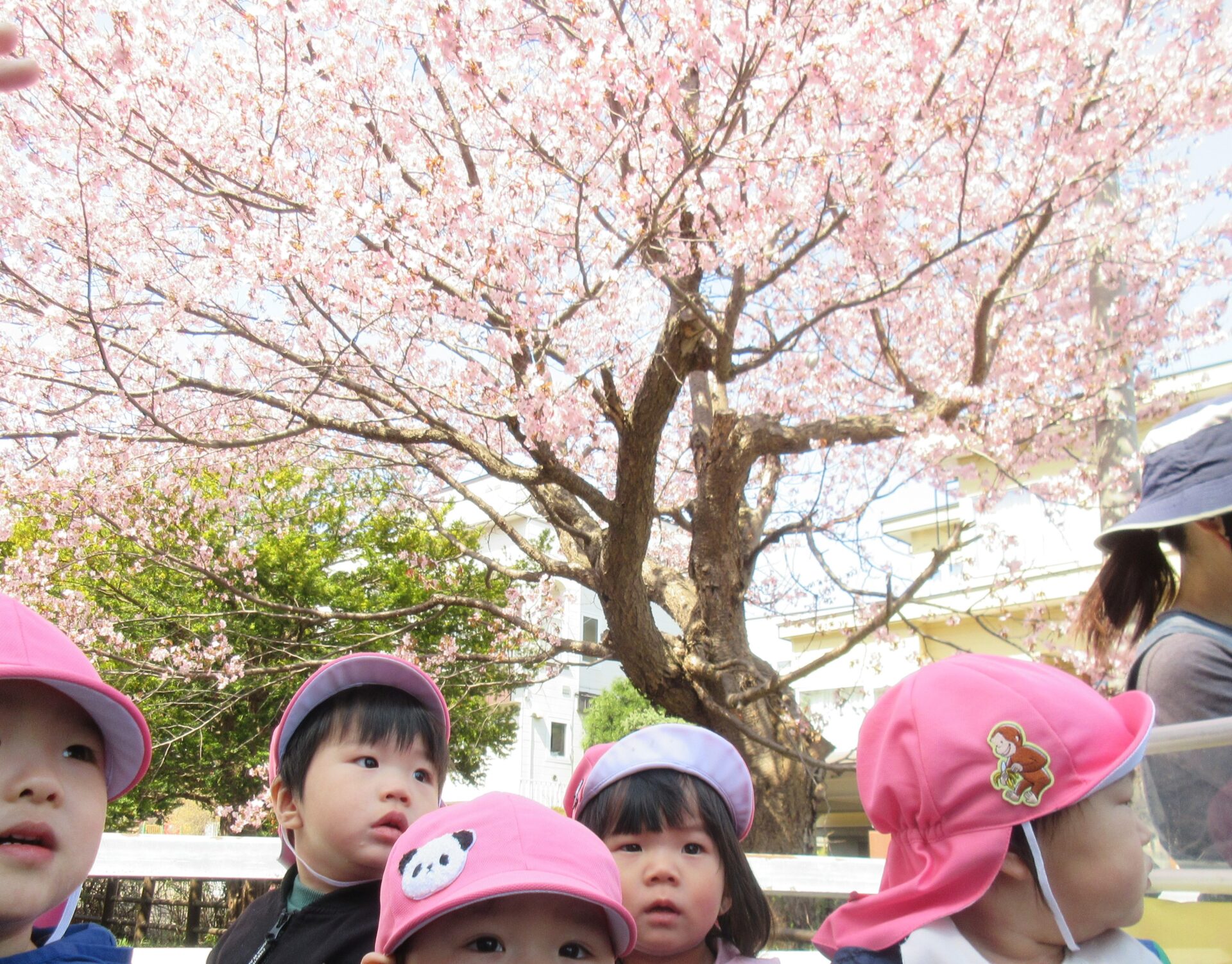 月寒西わんぱく保育園イメージ